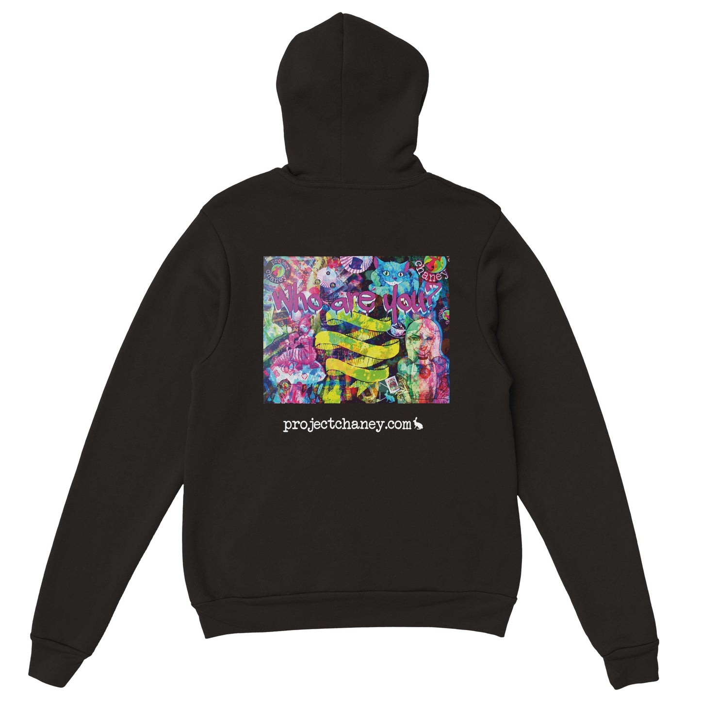 Who Are You? Pullover Hoodie