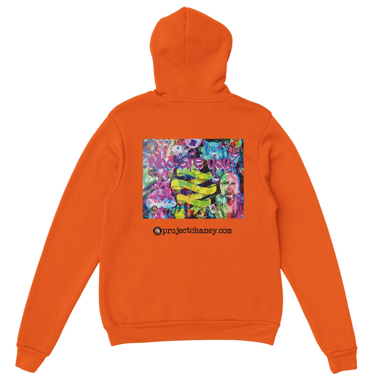 Who Are You? Pullover Hoodie